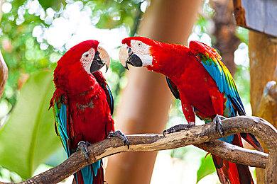 《失落城堡2》8月更新发布：城堡地牢开启，全新Boss与梦魇武装登场